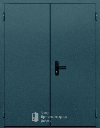 Фото двери «Двупольная глухая №37» в Электростали