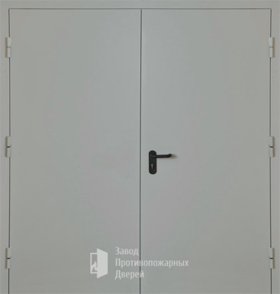 Фото двери «Двупольная глухая EI-30» в Электростали