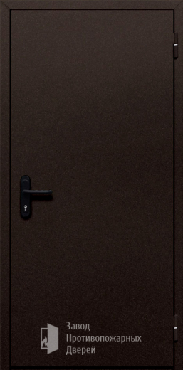 Фото двери «Однопольная глухая №110» в Электростали
