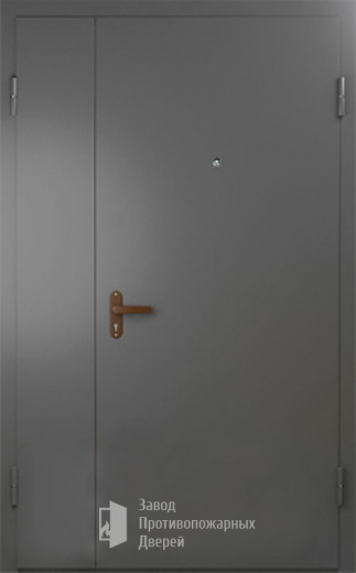 Фото двери «Техническая дверь №6 полуторная» в Электростали