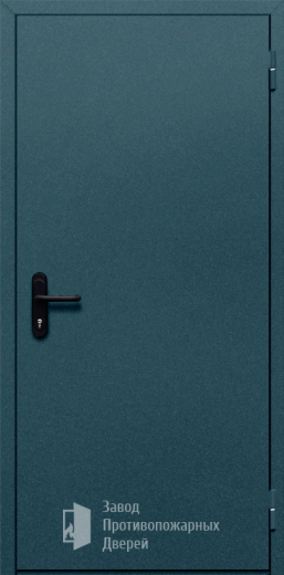 Фото двери «Однопольная глухая №17» в Электростали