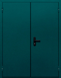 Фото двери «Двупольная глухая №36» в Электростали
