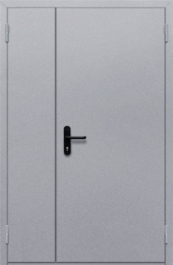 Фото двери «Полуторная глухая» в Электростали